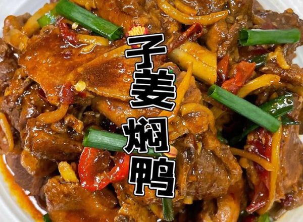 广东焖鸭怎么做_正宗做法步骤详解