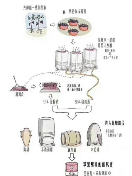 葡萄酒怎么做_家庭自酿葡萄酒步骤