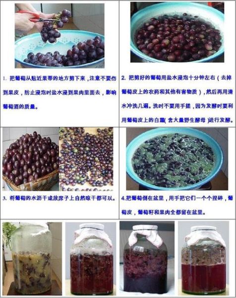 葡萄酒怎么做_家庭自酿葡萄酒步骤