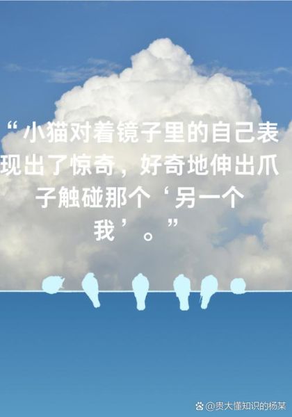 惊喜的词语有哪些_如何用惊喜造句