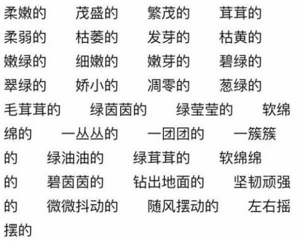 青草是词语嘛_青草算不算词语