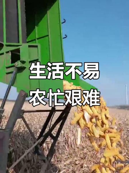 农忙的人一天干多久_农忙的人吃什么最抗饿