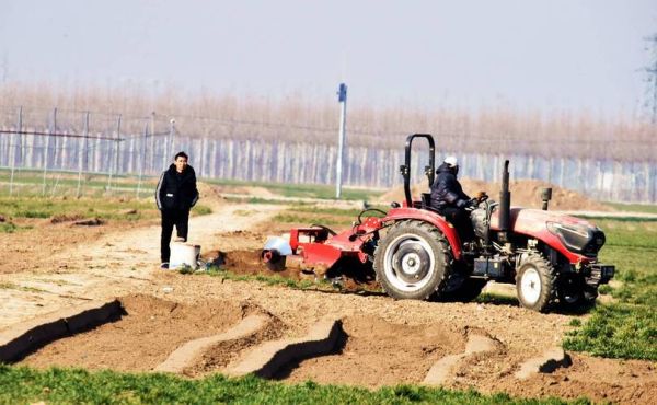 农忙的人一天干多久_农忙的人吃什么最抗饿