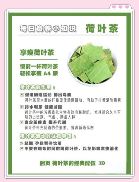 荷叶的功效与作用_荷叶减肥的正确方法