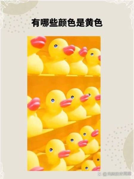 黄橙色代表什么_黄橙色配色禁忌有哪些