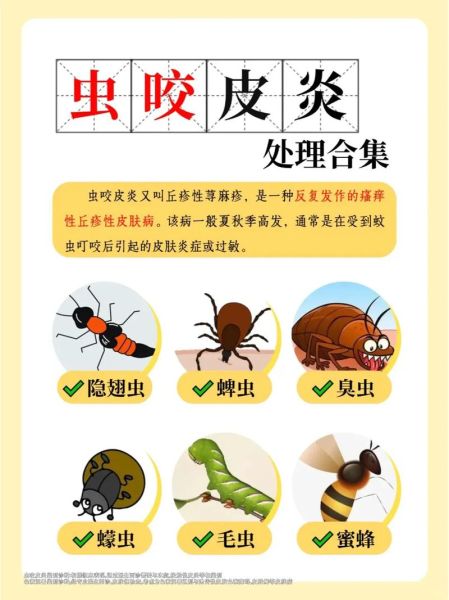 什么虫子咬了会起水泡_被虫子咬后水泡怎么处理