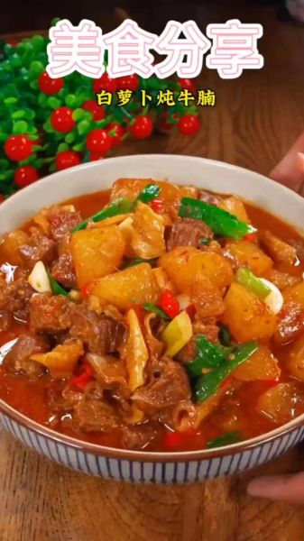 牛肉炖萝卜怎么做好吃_牛肉炖萝卜的家常做法