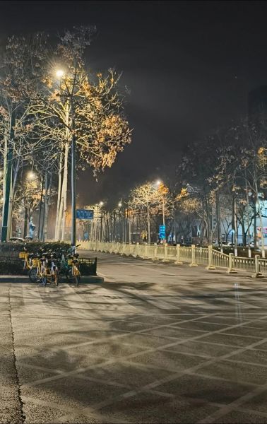 晚上的街灯为什么那么暖_街灯对情绪的影响