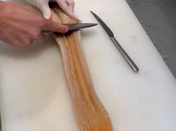 象拔蚌怎么清洗_象拔蚌刺身怎么做