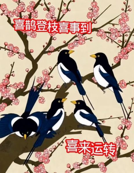 喜鹊报喜是真的吗_喜鹊叫吉凶时间表