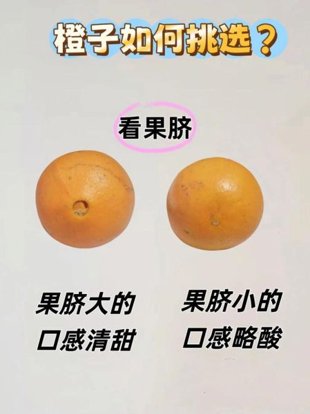 橙子怎么挑甜的_橙子有哪些品种