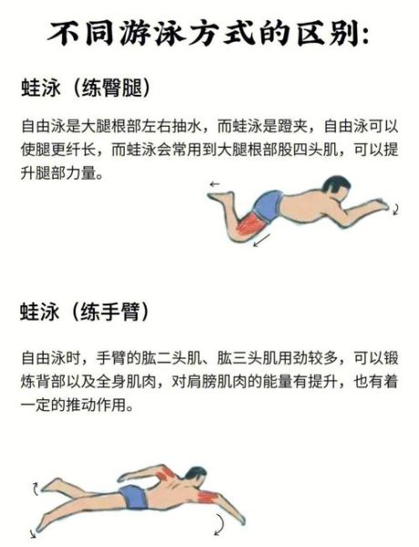 游泳锻炼多久能减肥_初学者如何安排训练