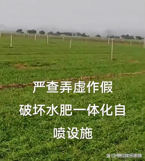 庄稼不好怎么办_庄稼长势差用什么肥