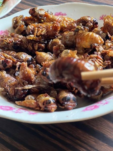 炸知了猴的做法_怎么炸才酥脆