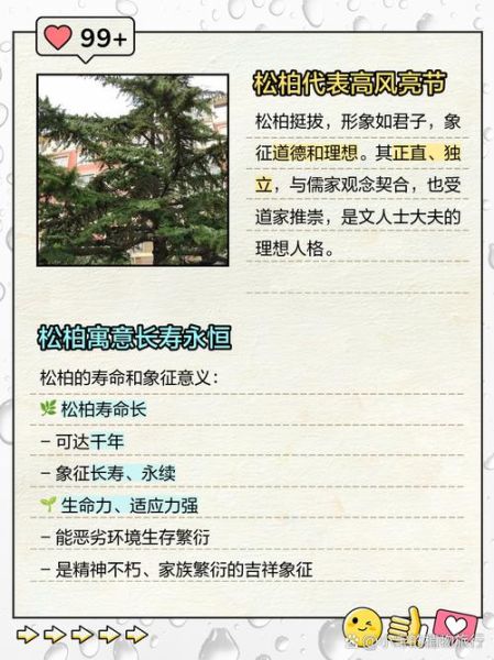 松柏象征什么_松柏寓意有哪些