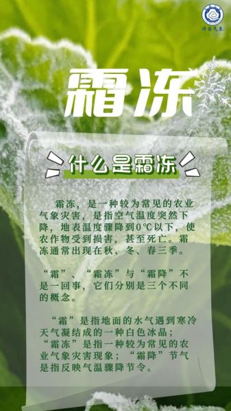 霜降节气养生_霜冻对植物的影响