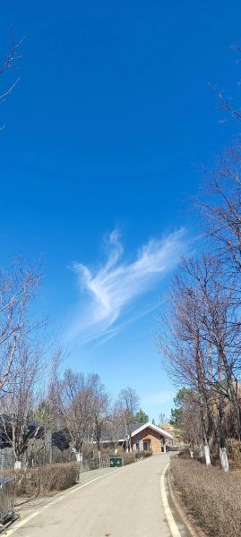 白云像什么_白云形状的比喻有哪些