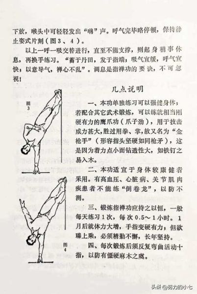 武术基本功怎么练_武术入门先学什么