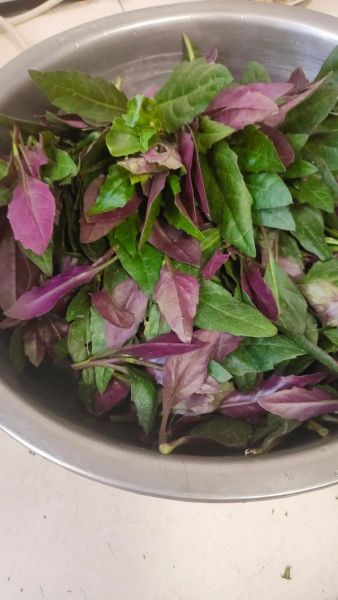 血皮菜炒猪肝怎么做_猪肝炒多久才嫩