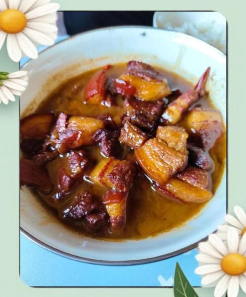 家常炖猪肉怎么做_炖猪肉简单做法