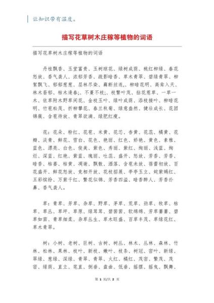 绿化很好的词语有哪些_如何运用