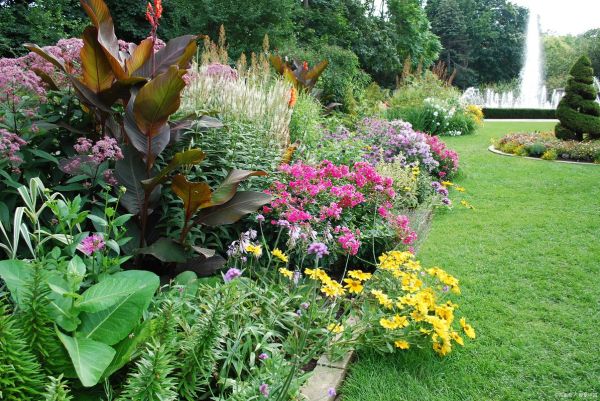 周园林植物有哪些_周园林适合种什么花
