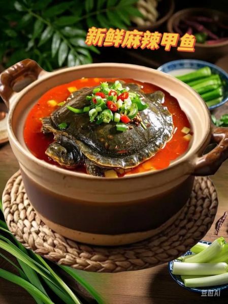麻辣甲鱼怎么做_麻辣甲鱼正宗做法