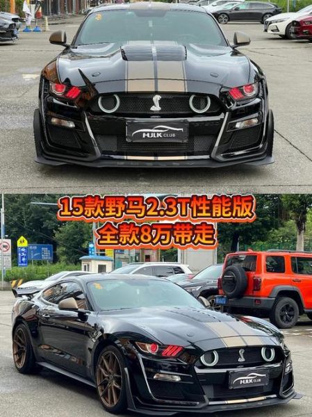 野马多少钱一匹_野马适合新手骑吗