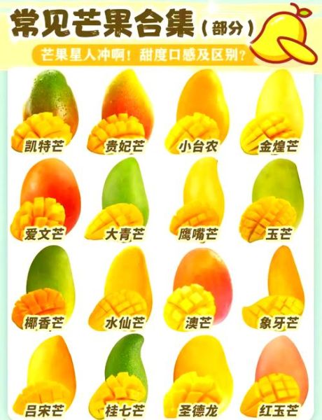 芒果品种有哪些_芒果怎么挑选才甜
