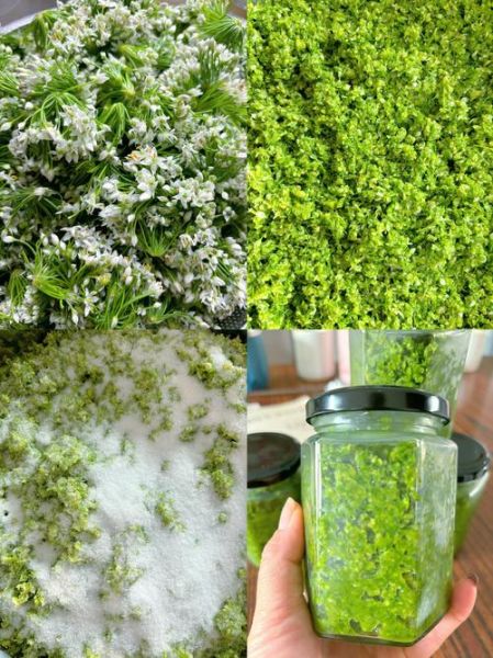 韭菜花怎么腌制好吃_韭菜花酱做法步骤