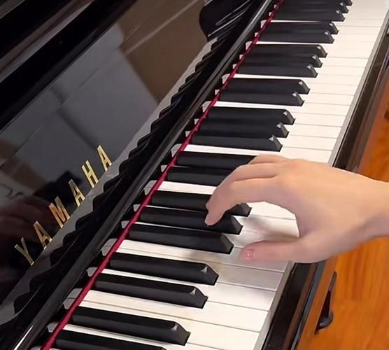 弹钢琴的正确姿势_初学者常见问题