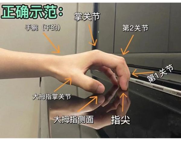 弹钢琴的正确姿势_初学者常见问题
