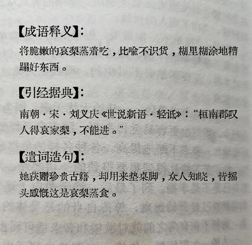 梨子的好词语有哪些_怎么用
