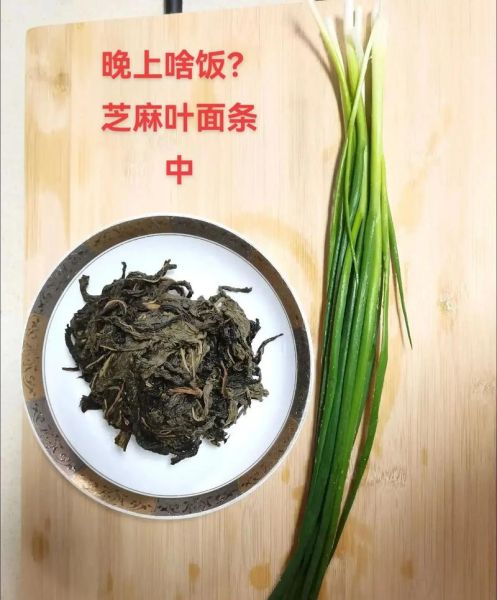 新鲜芝麻叶面条怎么做_芝麻叶面条的做法窍门