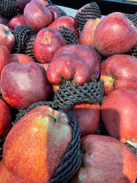 什么水果最好吃_好吃的水果有哪些