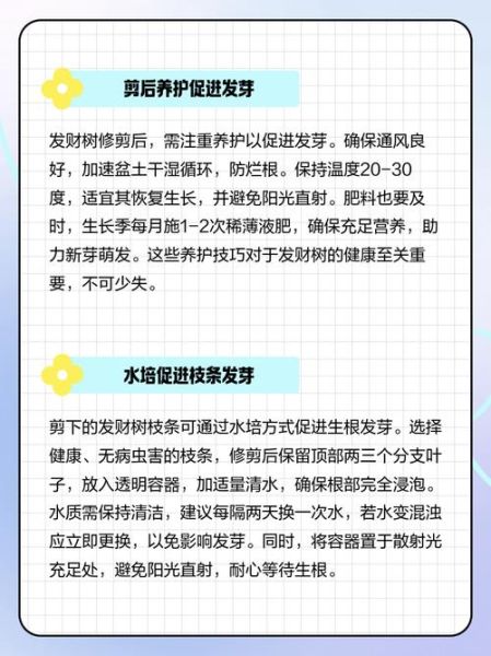 树枝怎么修剪_树枝修剪后多久发芽