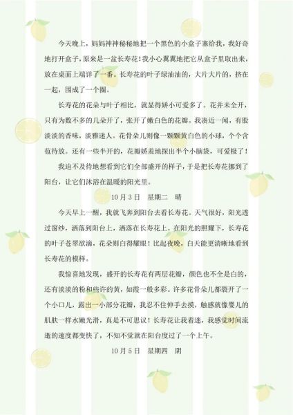 如何观察_描写技巧