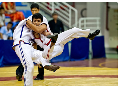 摔跤四字词语有哪些_如何描写摔跤场面