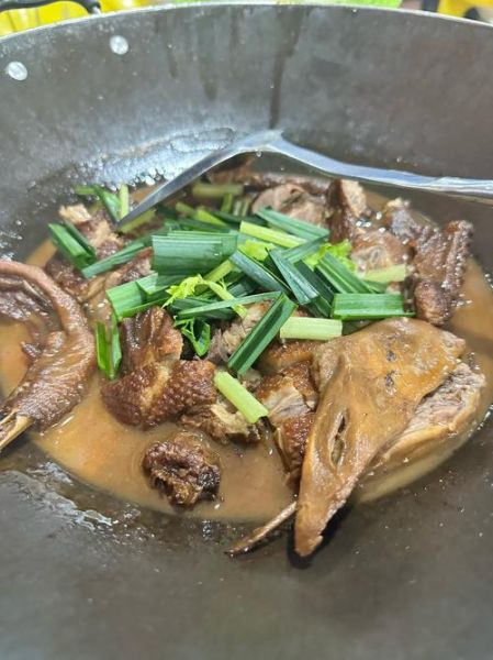 红烧老鹅怎么做好吃_红烧老鹅的家常做法