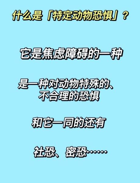 害怕动物用什么词形容_如何克服恐惧