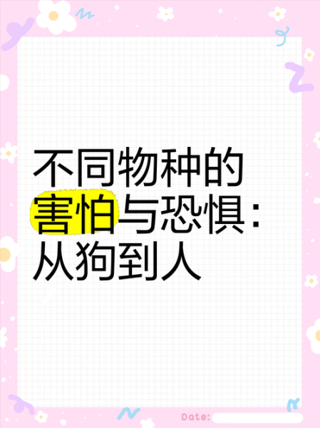 害怕动物用什么词形容_如何克服恐惧