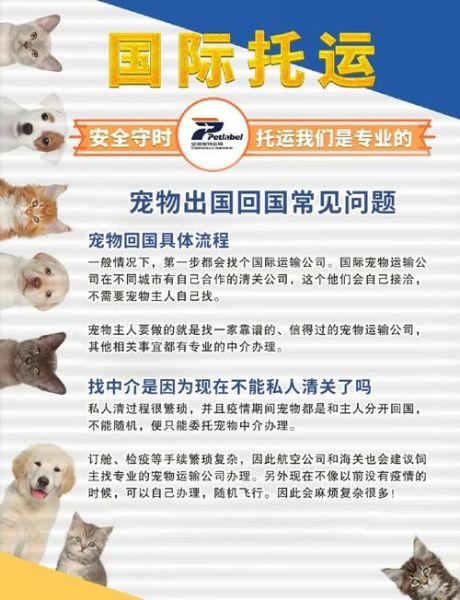 宠物移民美国需要什么手续_宠物入境美国流程