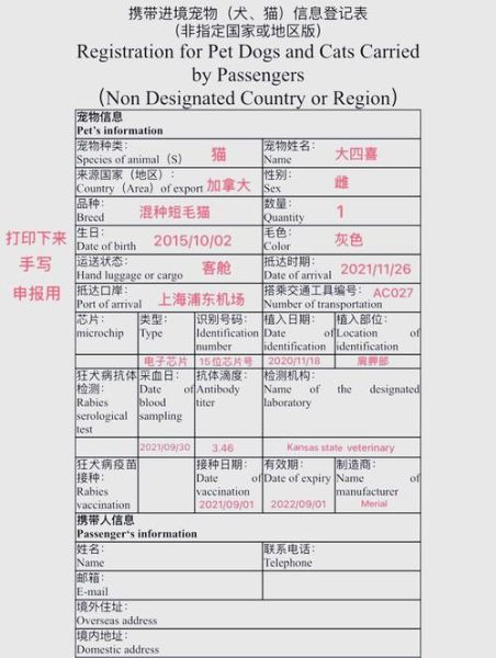 宠物移民美国需要什么手续_宠物入境美国流程