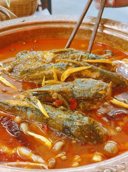 黄辣丁鱼怎么做好吃_黄辣丁鱼的做法家常