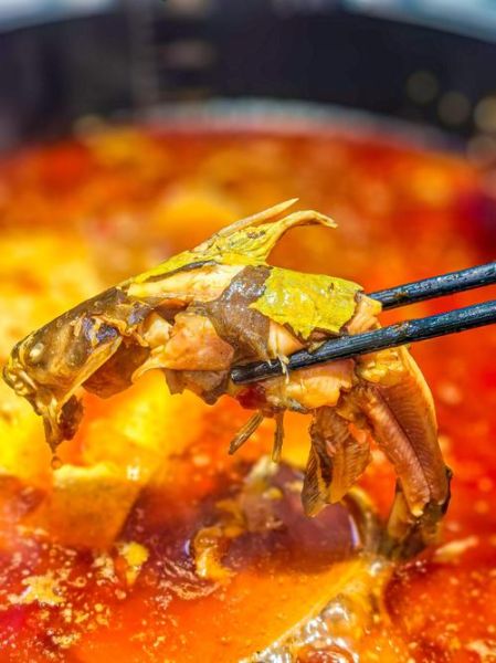 黄辣丁鱼怎么做好吃_黄辣丁鱼的做法家常