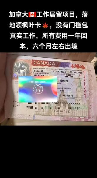 加拿大博士移民条件_博士毕业如何拿枫叶卡