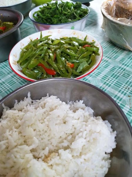 蛇豆怎么炒好吃_蛇豆的家常做法大全