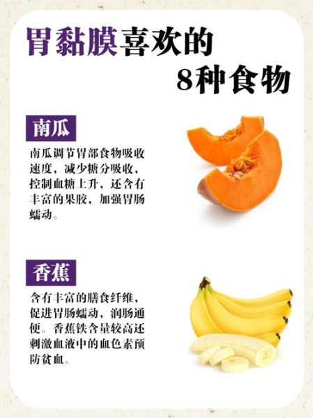 什么食物养胃_养胃食物有哪些