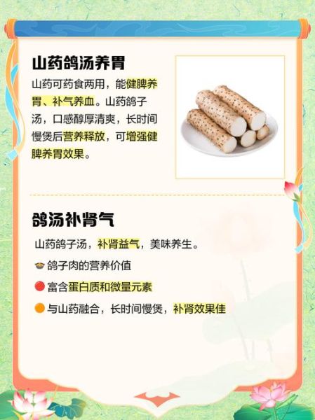 鸽子山药汤的做法_鸽子山药汤的功效与禁忌