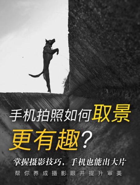 手机拍摄怎么拍才好看_手机拍摄技巧有哪些